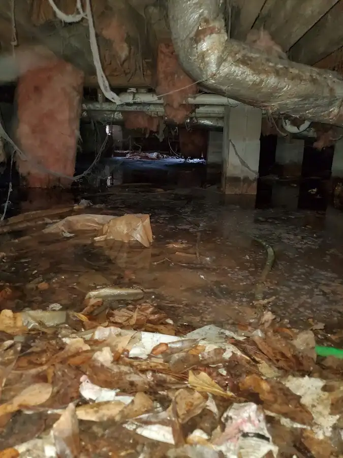 Crawl space flood assessment for Commercial Water Damage Restoration in Half Moon