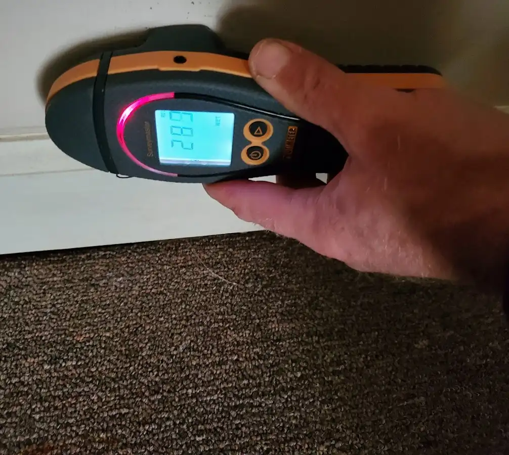 Moisture detection at baseboard during Sewage Cleanup & Sanitation in Half Moon